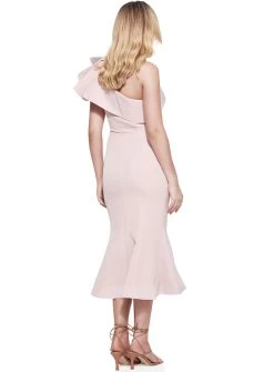 Penny Flared Midi -Fashion Dress Shop SR339 3