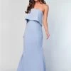 Daphne Strapless Gown -Fashion Dress Shop wrsr134 13