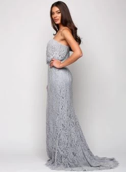 Cherry Strapless Lace Dress -Fashion Dress Shop wrsr135 9 1e6fde55 bf30 4a9d 8a46 9ad9ee15b9ba