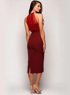 Perrine Tulle Midi -Fashion Dress Shop wrsr198 5